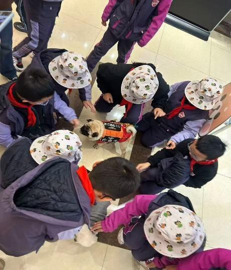 ！这场心理研学活动孩子家长一起“疗愈”j