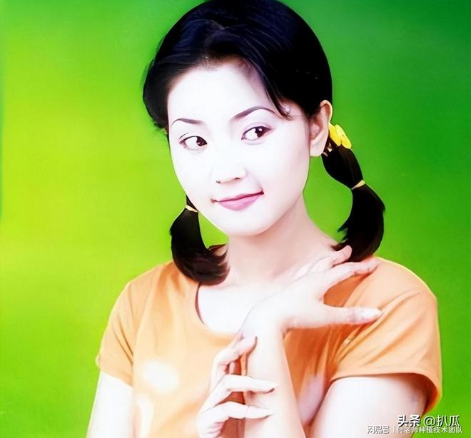 主持嫁给电台领导结婚23年只生孩子不做饭九游会真人游戏第一品牌“学历最低”的央视(图2)