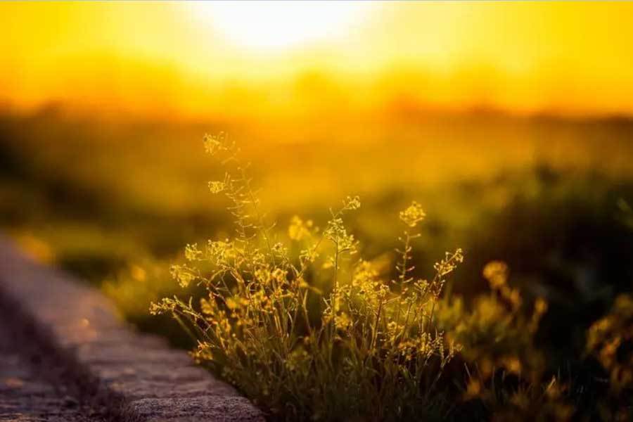 算品牌大盘点代替压岁钱大气又显贵寓意平安